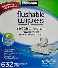 Kirkland Flushable Wipes Feel Clean & Fresh 632 szt. - Chusteczki nawilżane dla dzieci i niemowląt